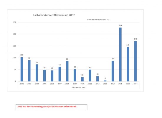 Grafik Rückkehrer Iffezheim seit 2002