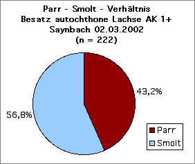 Statistik Saynbach 2002