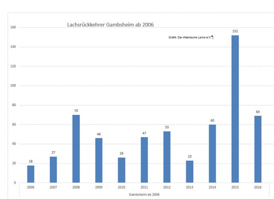 Grafik Rückkehrer Gambsheim seit 2006